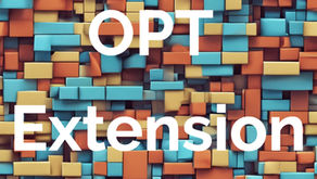 OPT第一年即将结束，何时开始申请STEM OPT延期？